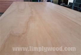 COMMERCIAL PLYWOOD