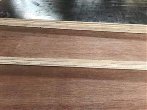 CONTAINER FLOORING PLYWOOD